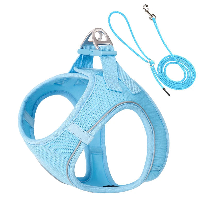 Dog Harness and Leash Set