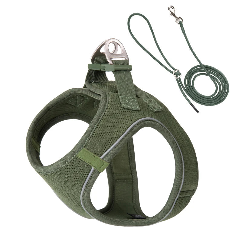 Dog Harness and Leash Set