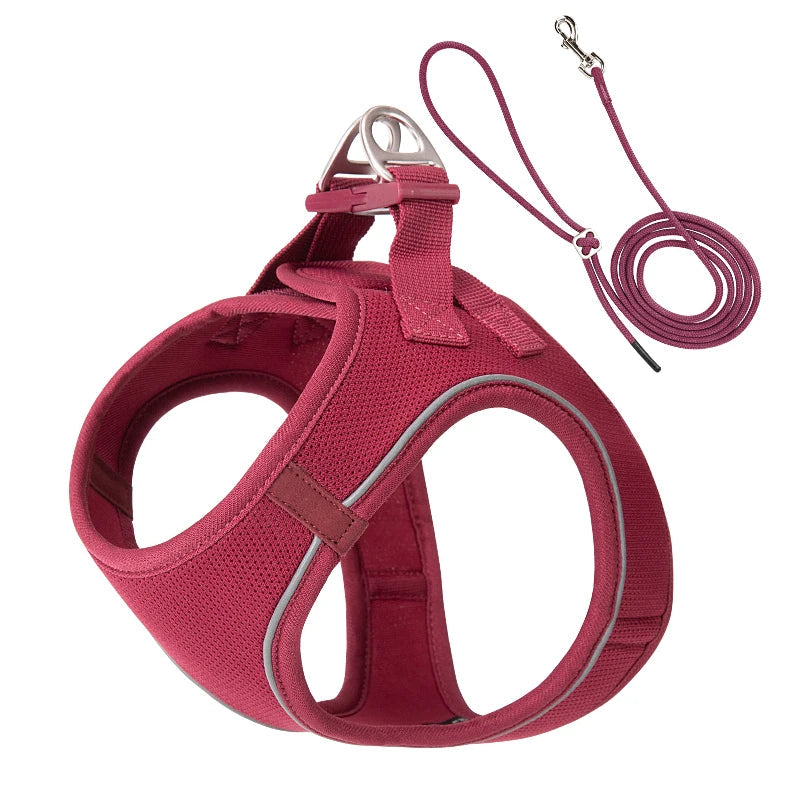 Dog Harness and Leash Set