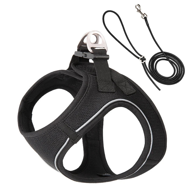 Dog Harness and Leash Set