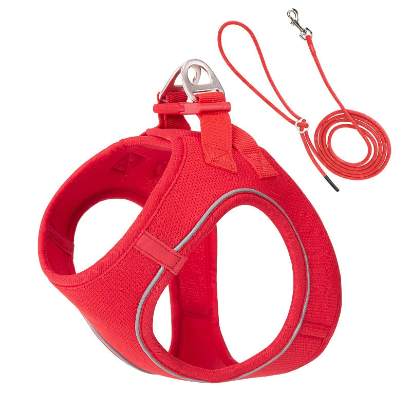 Dog Harness and Leash Set