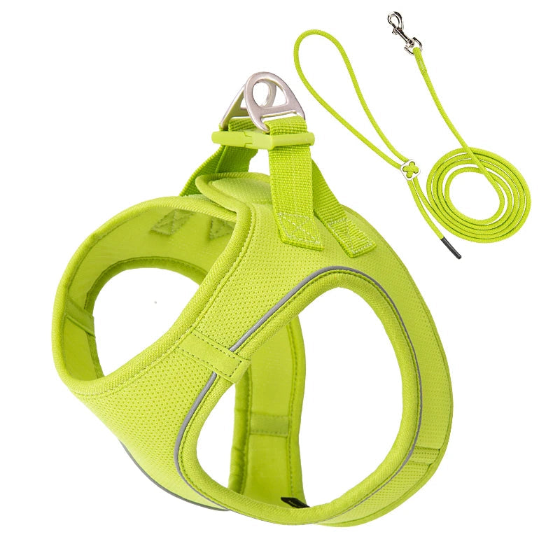 Dog Harness and Leash Set