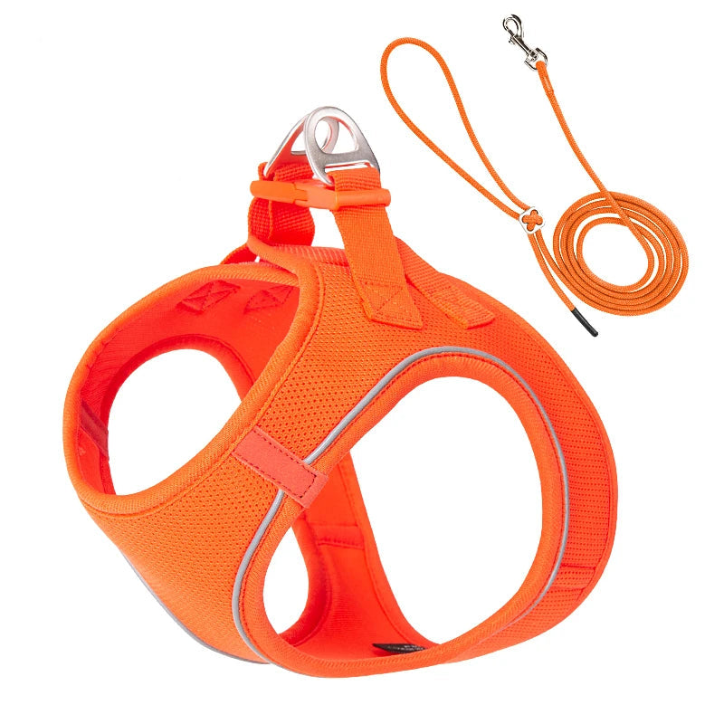 Dog Harness and Leash Set