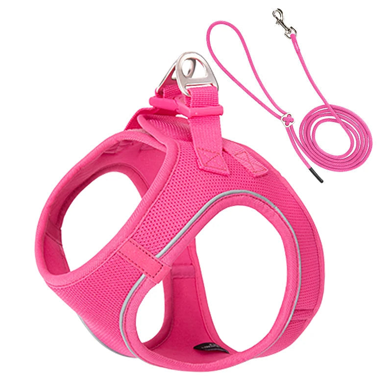 Dog Harness and Leash Set