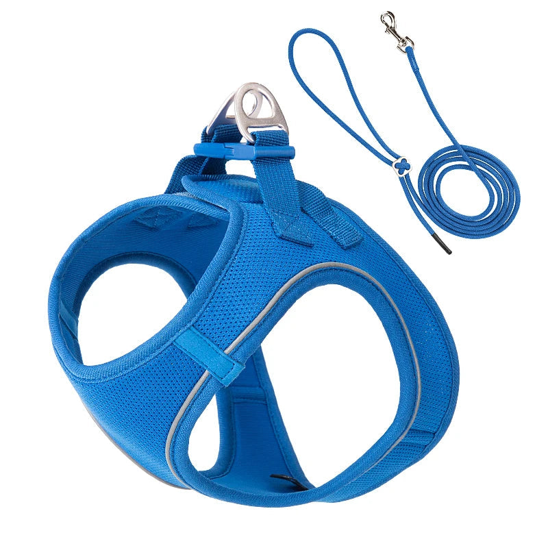 Dog Harness and Leash Set